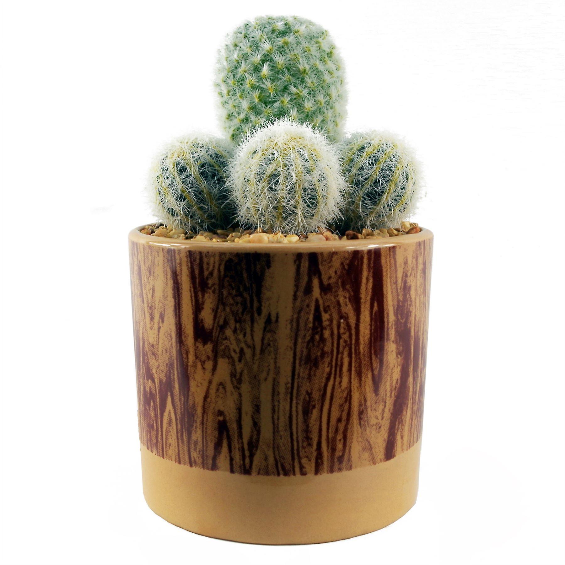 20cm Artificial Cactus Arrangement in Ceramic Planter