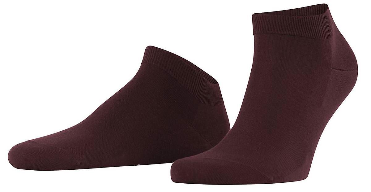Falke Climawool Sneaker Socks - Burgundy