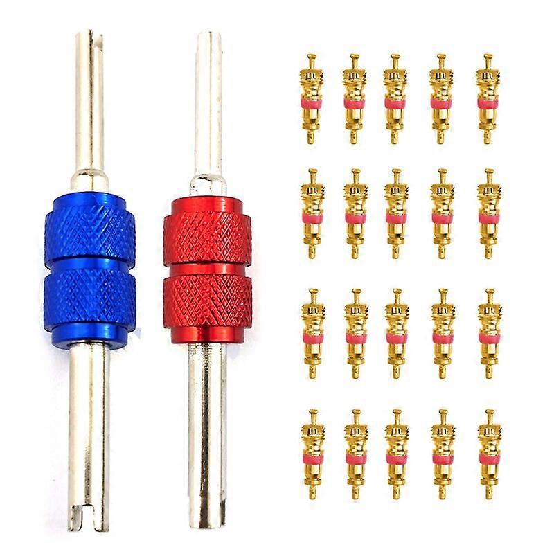 22Pcs R134a αυτοκίνητος πυρήνας βαλβίδων αφαίρεσης συστημάτων κλιματισμού εξαρτημάτων κλιματισμού εξαρτήσεων κλιματισμού πυρήνων βαλβίδων βαλβίδων πυρήνων βαλβίδων κλιματισμού αυτοκινήτων