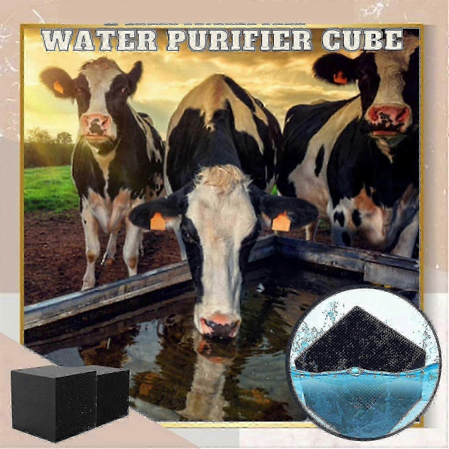 Activated Carbon High-Efficiency Water Purification Filter Cubes for QQ Models 25-26s