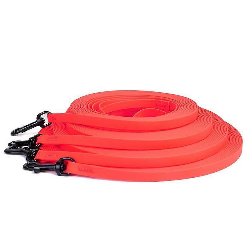 Laisse de dressage pour chien, 1 laisse imperméable pour animaux de compagnie, accessoires pour promener les chiens et les chats