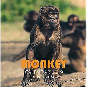 Calendario de monos 2019: calendario de 16 meses
