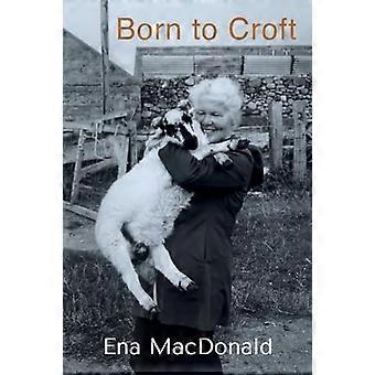 Born to Croft : Une chronique de l’agriculture et du bétail, du poulet et des enfants.