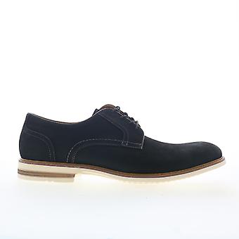 Zapatos Oxford y zapatos con cordones Steve Madden Alvarez para hombre adulto, con punta lisa.