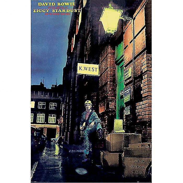 David Bowie The Rise and Fall of Ziggy Stardust Album Poster