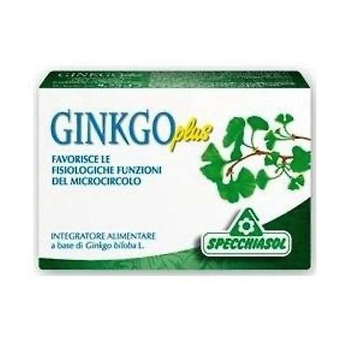 Ginkgo plus 30 tablets