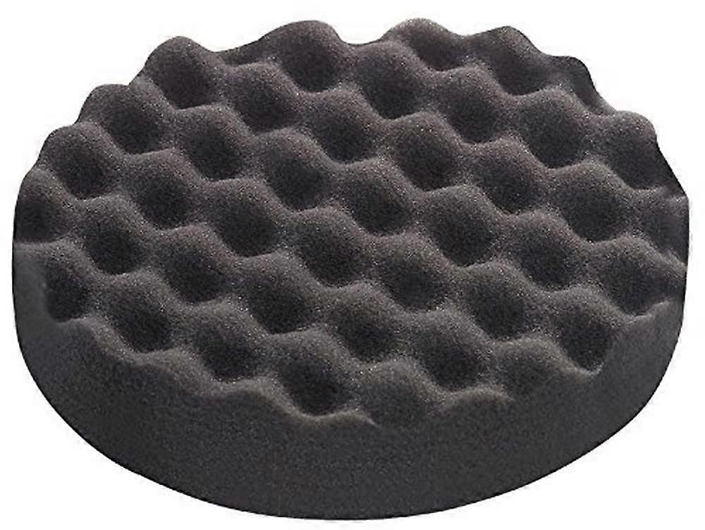 80 Polishing Sponge
