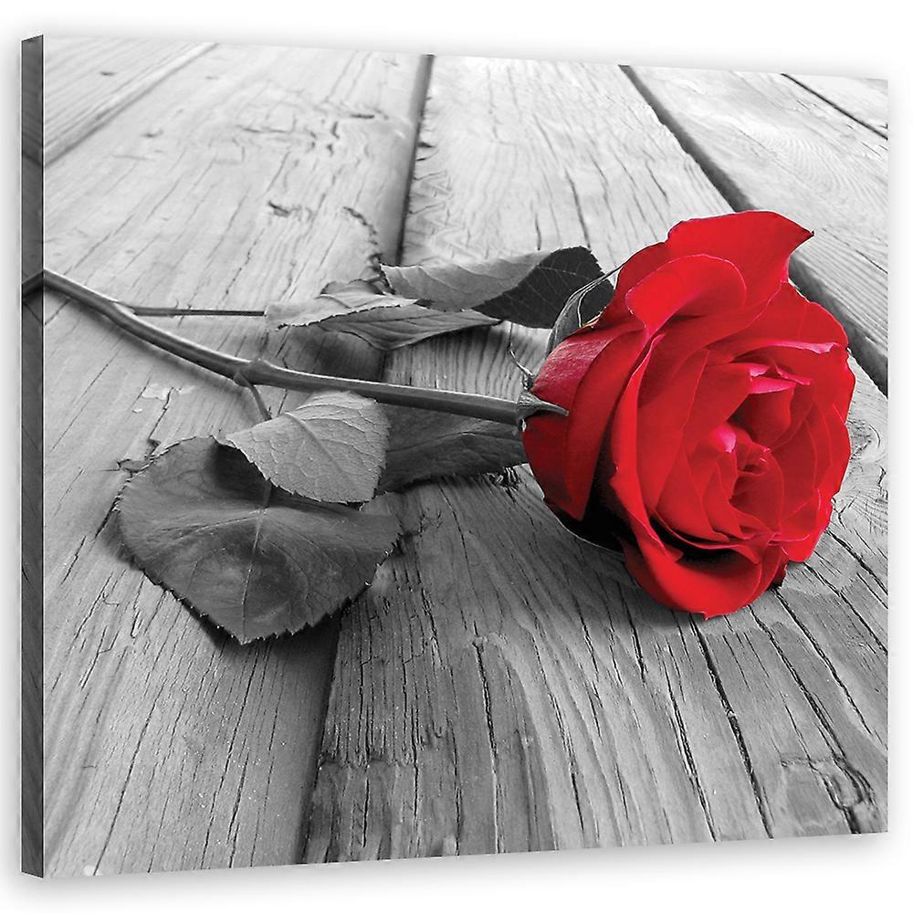 Fotobehang, Rood roos - 60x60