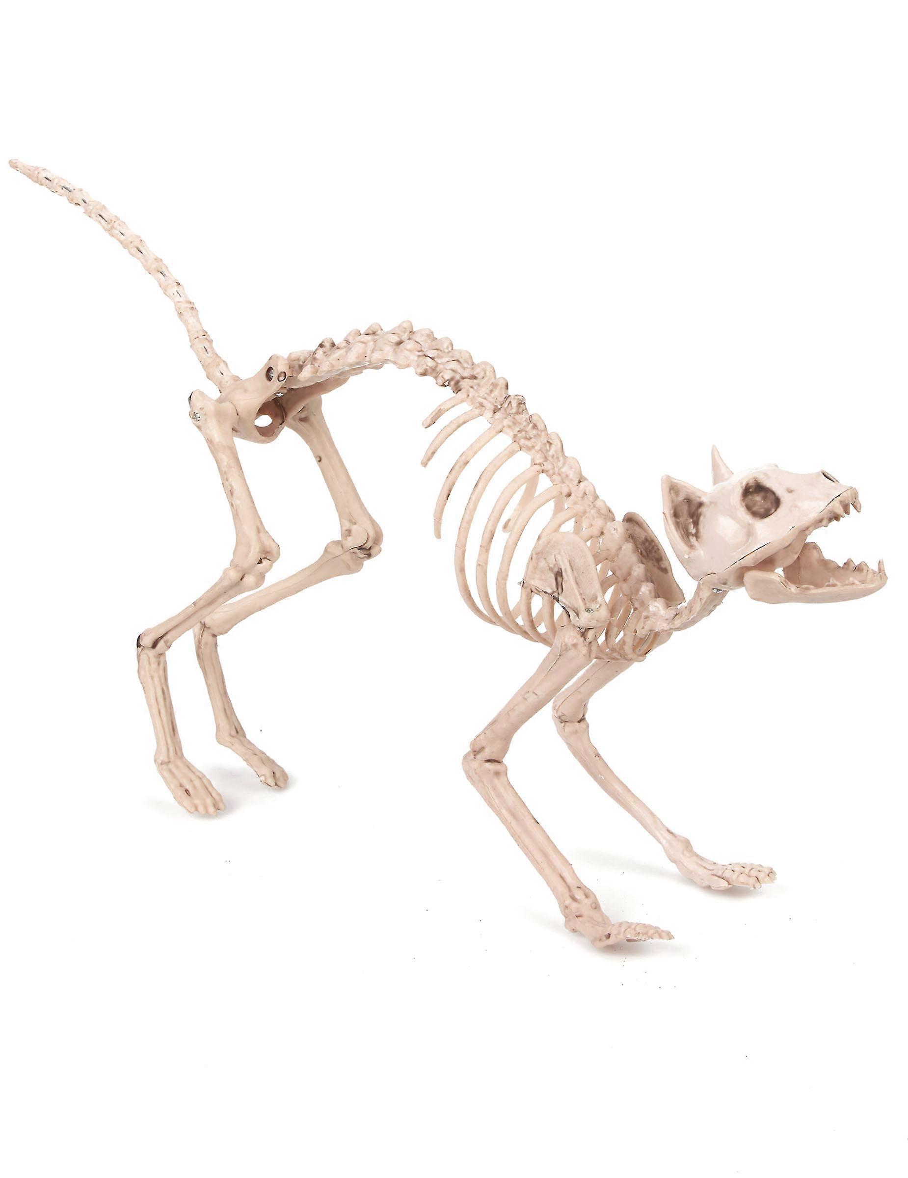 Halloween skeleton cat decoration