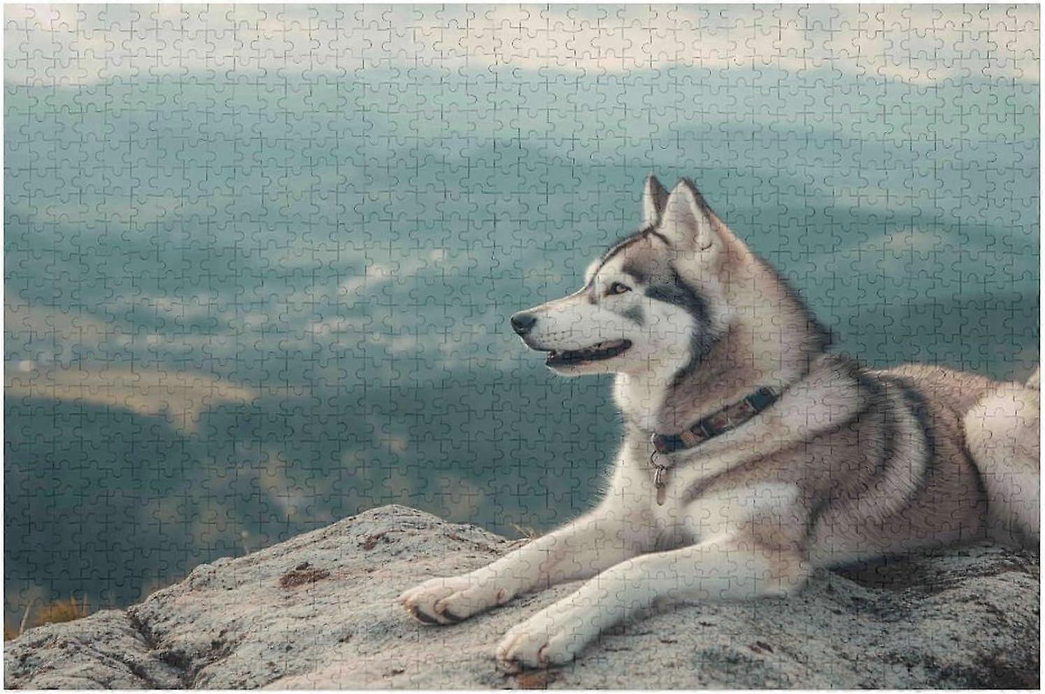パズル デ 1000/500/300 ピセ ポア アダルト コム ジュ デ Dfi ファミリー ドッグ ハスキー 1000/500/300 個 PTPT 1223