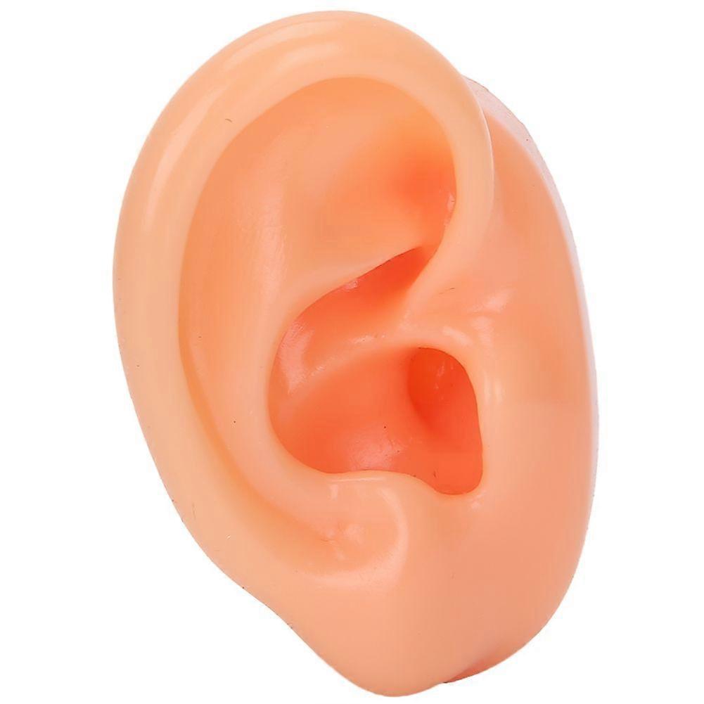 Silicone Right Ear Model Simulation Artificial Ear Display Model for Hearing Aids