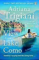 The view from lake como