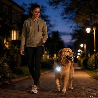 Collier lumineux de sécurité suspendu pour promenade de chien, lampe rechargeable pour animaux de compagnie avec boîtier en plastique pour une utilisation quotidienne en soirée, orange1 rouge