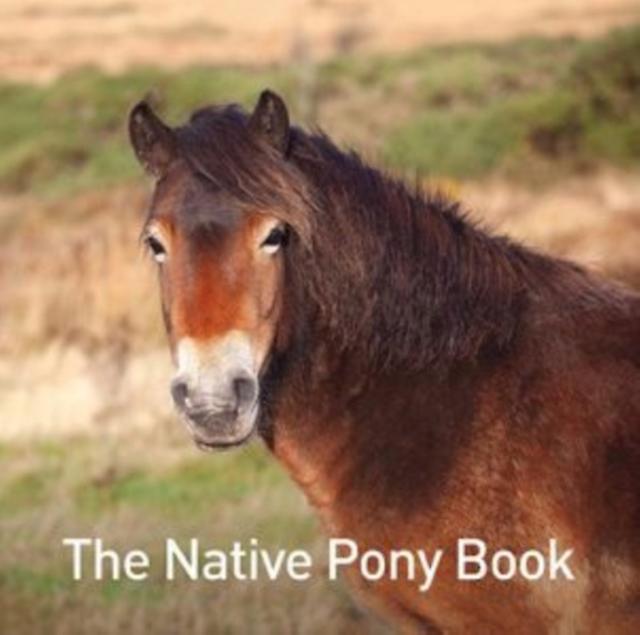 Native Pony Book - Jane Russ