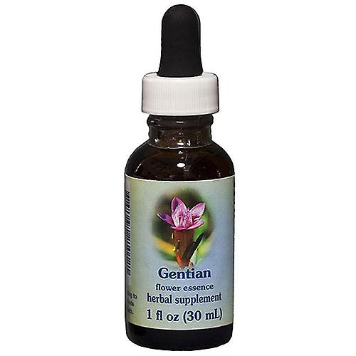 Flower Essence Services Gentian Dropper, 1 oz (Pack of 1)