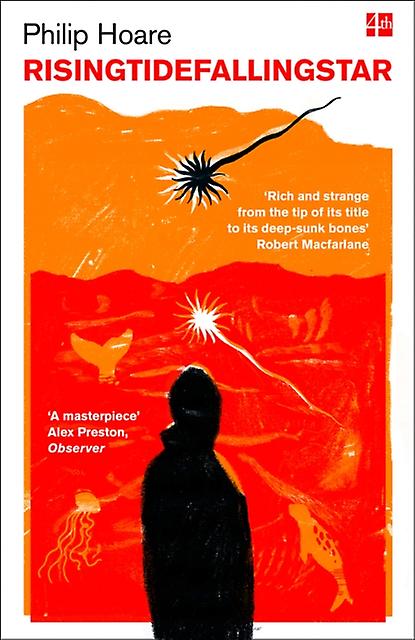 Risingtidefallingstar by Philip Hoare Paperback