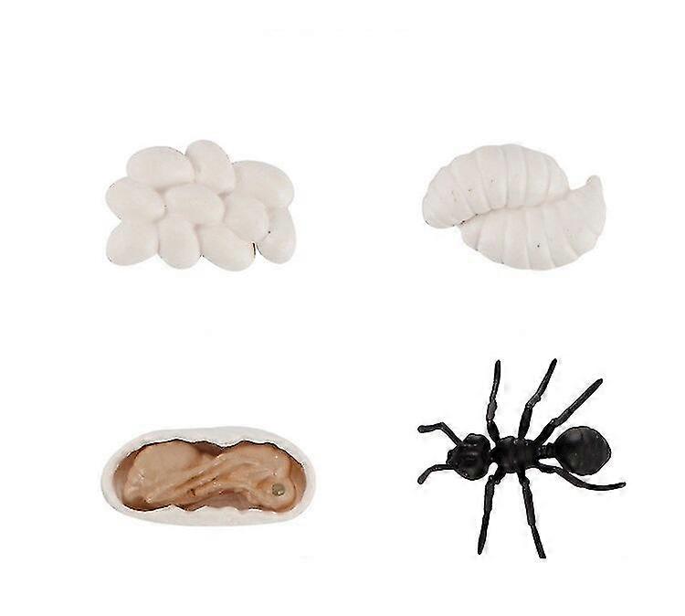 Worker Ants Animals Miniature Figurines Model, Creatures Toy Figurines Set