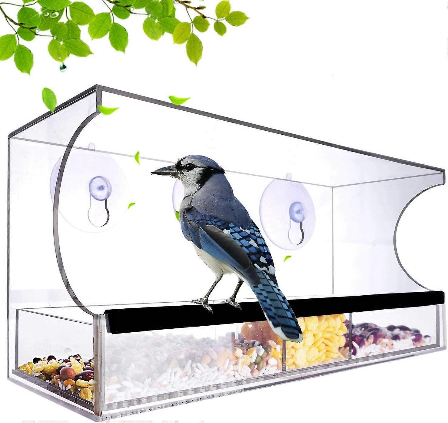 Large Acrylic Clear Window Bird Feeder with Removable Seed Tray