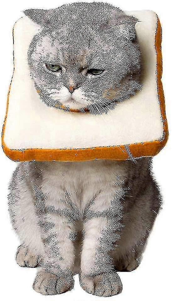 قابل للتعديل القط E-طوق ، لطيف نخب الرقبة مخروط بعد الجراحة ، التئام الجروح المخروط الواقي جراحة الخبز الانتعاش الياقات الإليزابيثية ، لينة حافة كومبا