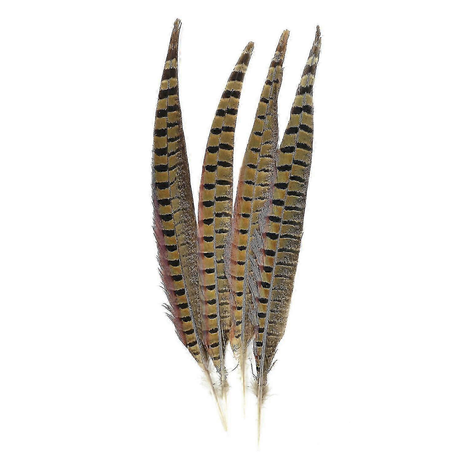 Touch Of Ringneck Pheasant Feathers 4/pcs, Natural