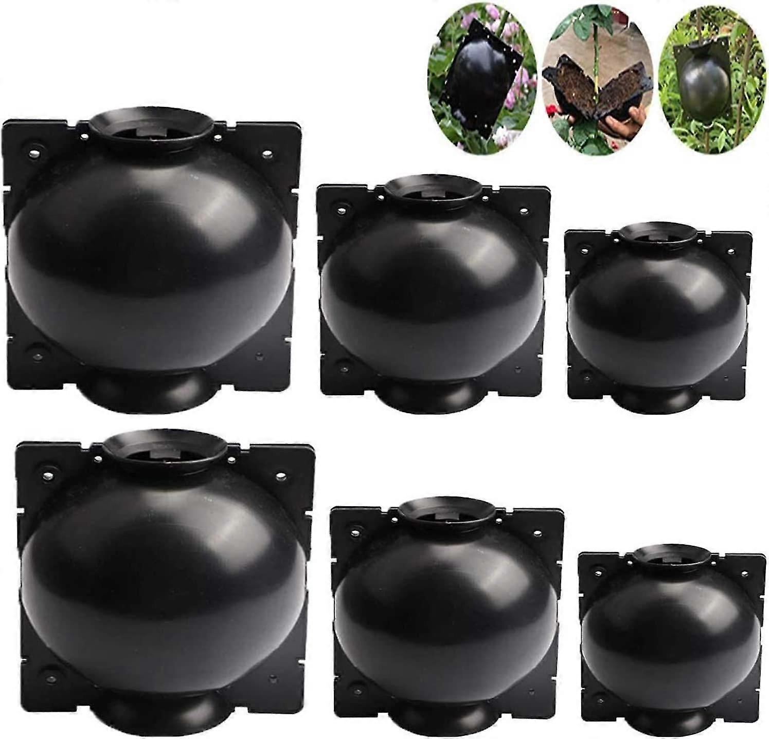 6-Pack Plant Rooting Kit - Fast Growth, Reusable, Safe Lock, Multiple Sizes