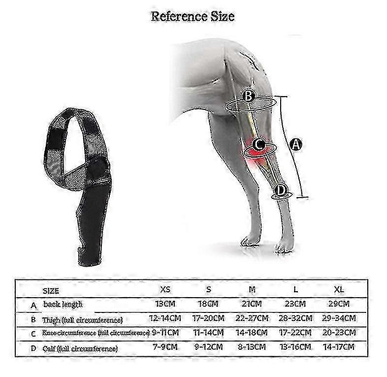 Pet Dog Knee Brace, For ACL Knee Cap Dislocation Arthritis, Joint Warm Extra Support, Size M