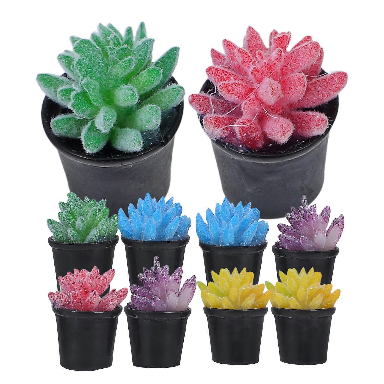 Tiny Mini Plants Succulent Models Decorative 10Pcs Mini House Potted Set
