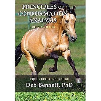 Principes de conformation - Analyse : Référence Equus - Guide