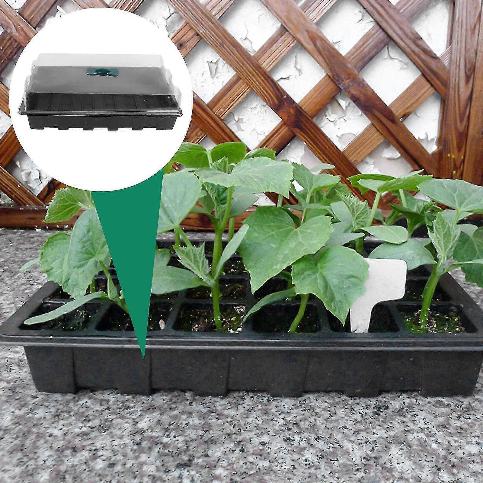 Plastic Sprouting Box Multi-Function Germination Box for Use 3Sets