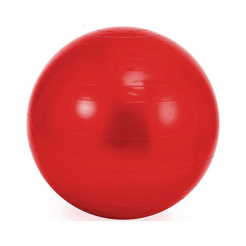Stability Exercise Ball