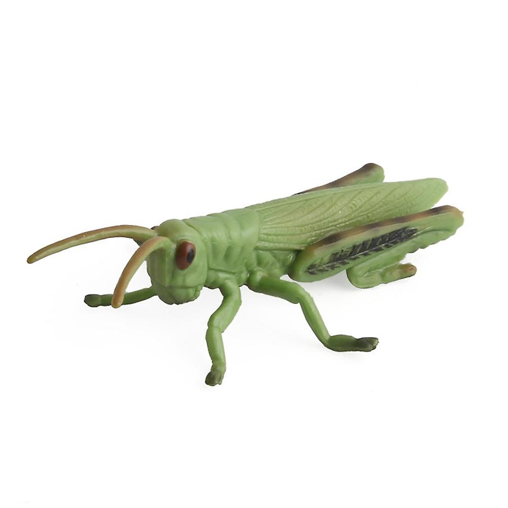 Educational Plastic Insect Toy Models for Kids