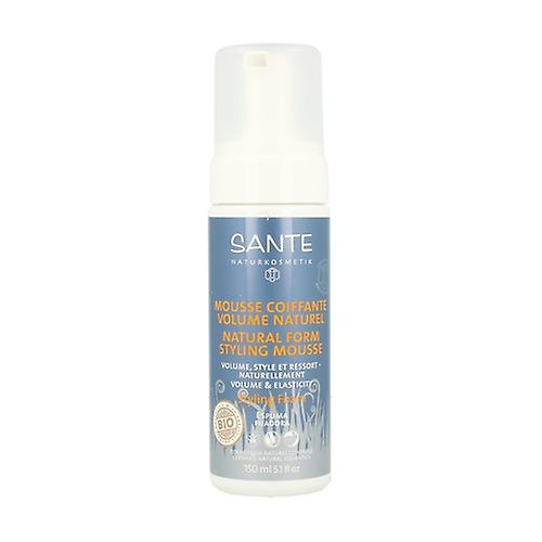 Fixing Foam 150 ml