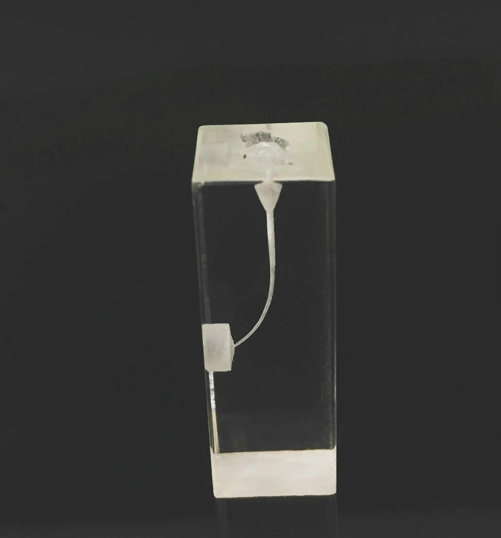 5pcs/Lot Dental Resin Practice Tool Tooth Endo File Training Blocks