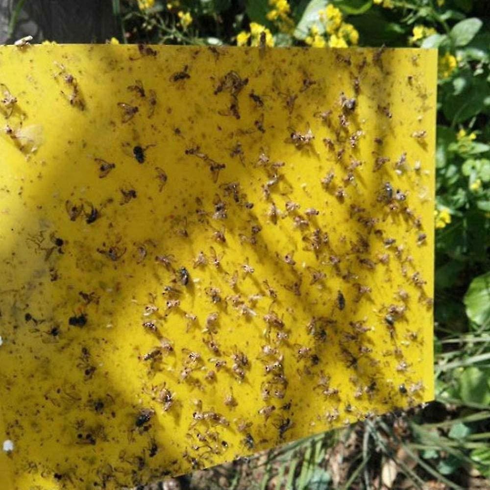 20pcs Garden Insect Sticky Boards Double-sided Insect Sticky Boards ...