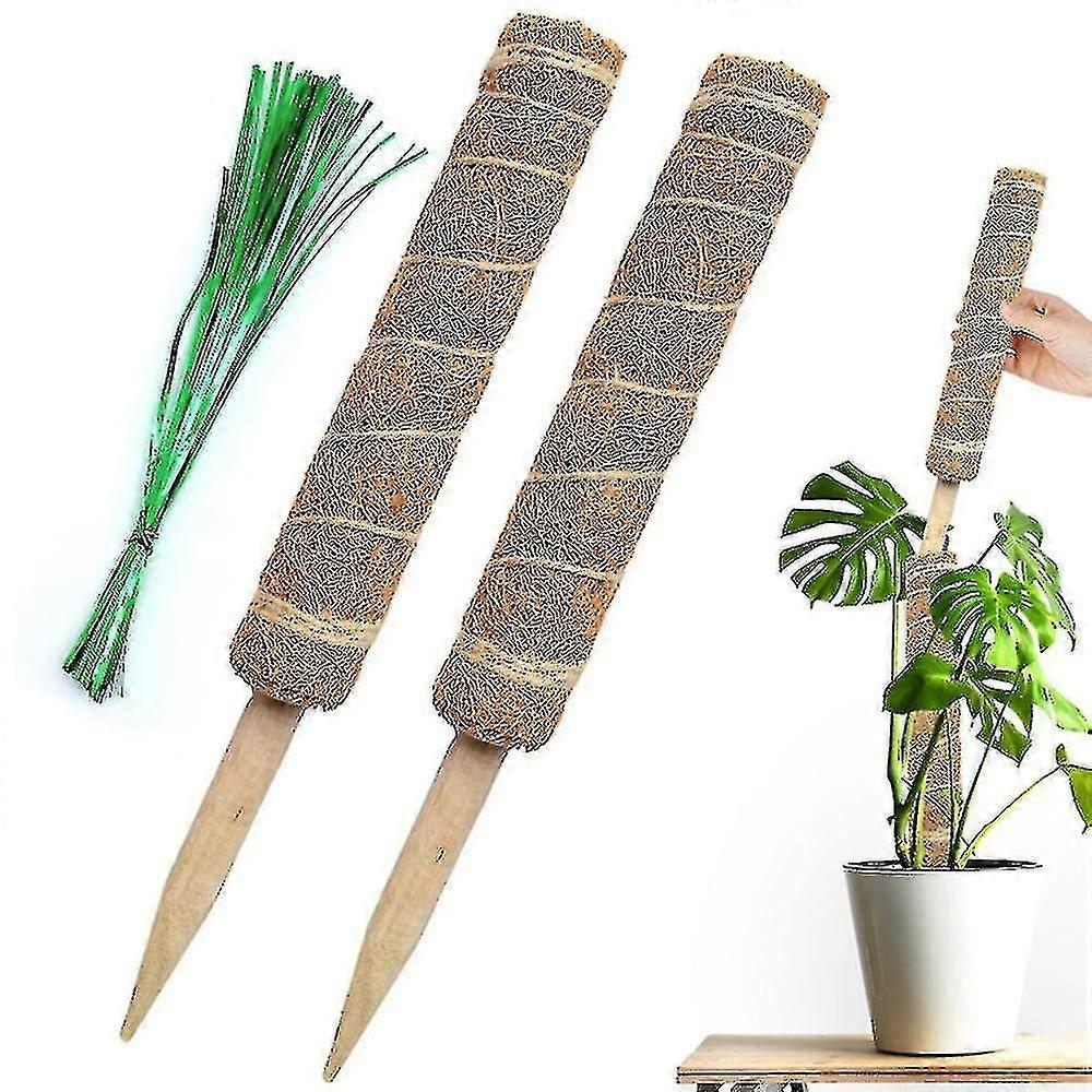 2-Pack 30cm Moss Poles for Climbing Plant Support