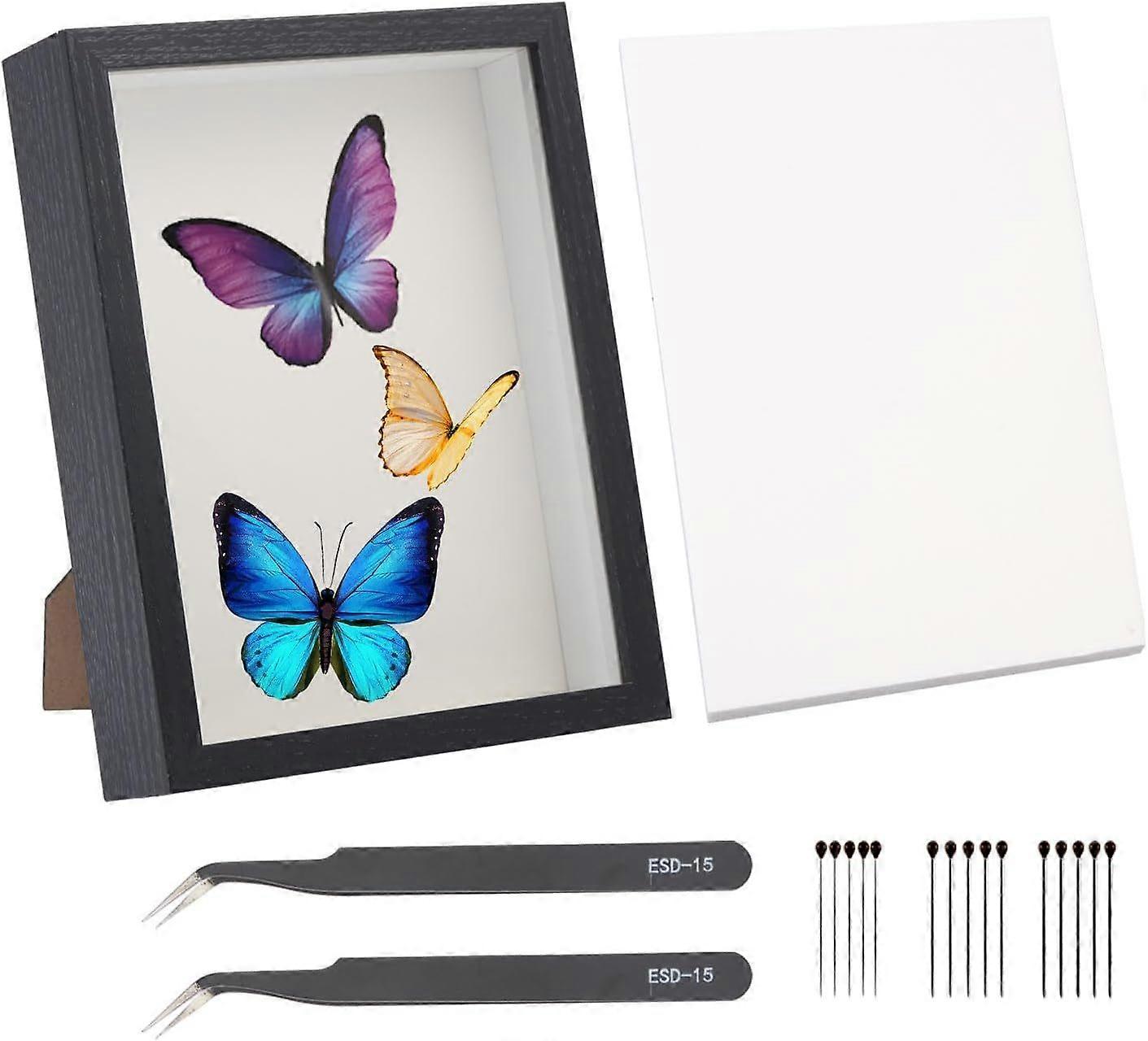 1Pc Insect Display Case Wall Mount Insect Collection Box Set for Butterfly Specimen with 1 Sheet EVA Foam Board 2pcs Stainless Steel Curved Pointed Tw