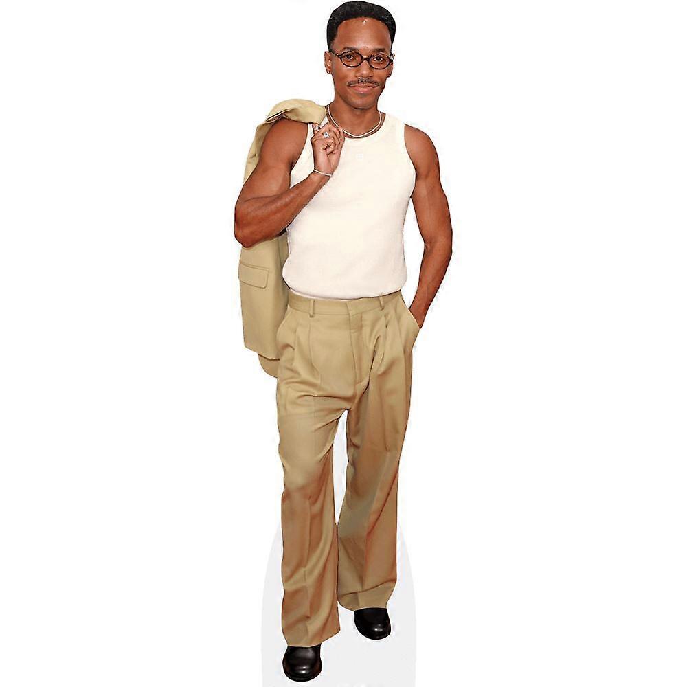 Carter Gregory (Pose) Cardboard Cutout (lifesize OR mini size). Standee. Stand Up.