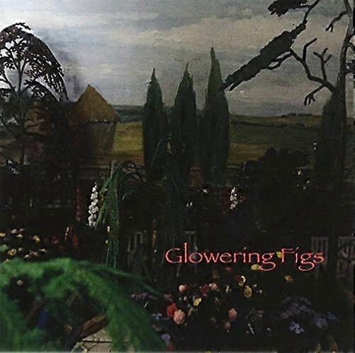 Glowering Figs Glowering Figs CD (2017) NEW