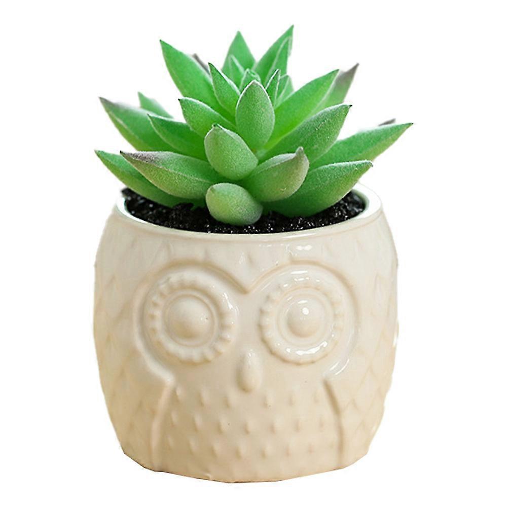 New Owl, ceramic basin, simulation succulent bonsai