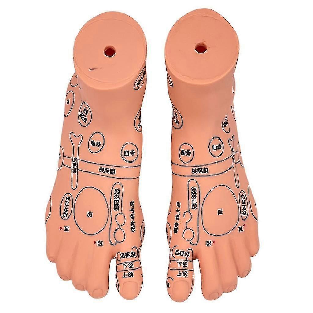 Shibingsheng鍼灸モデル漢方薬手足耳鍼灸モデル鍼灸