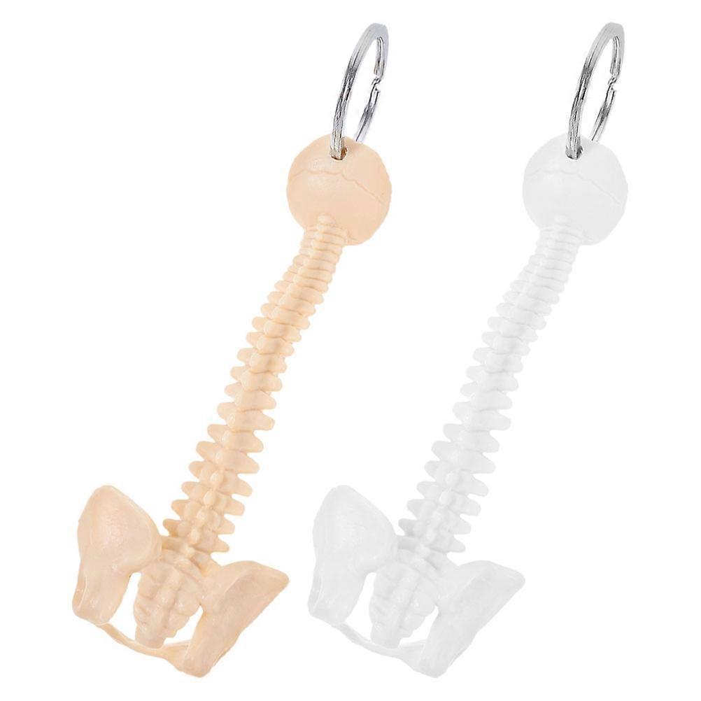 Mini Human Spine Keychain – Realistic Anatomy Teaching Model for Doctors & Orthopedists, Durable Educational Accessory for Classroom Study & Backpack