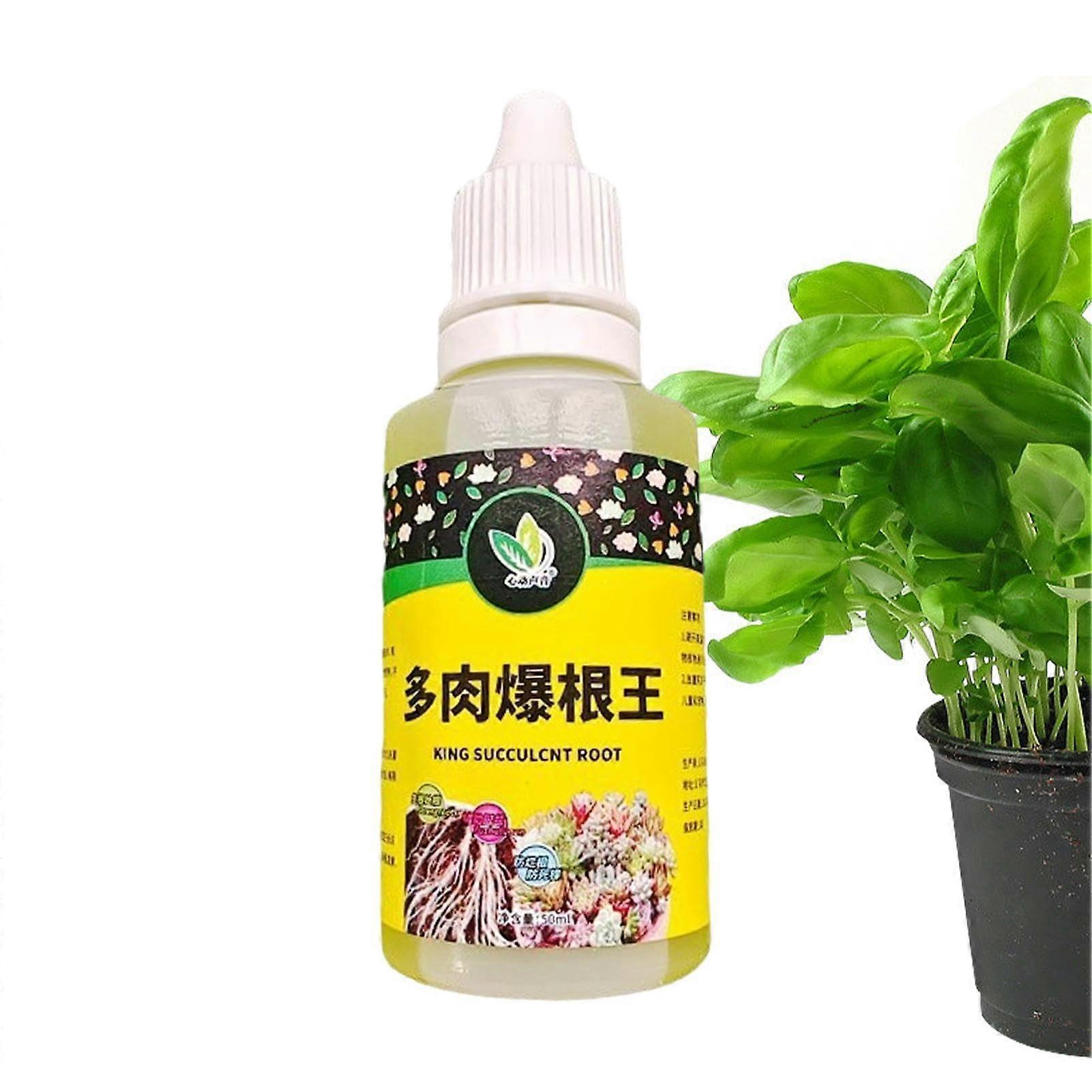 Root Starter For Plants Liquid 50ml Performing Root Stimulator,Plant Growth Enhancer And Rooting Starter For Houseplants, Flowers, Succulents