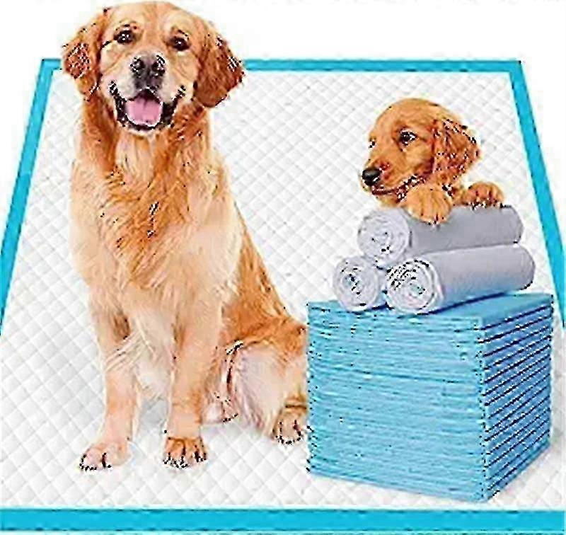 Disposable Puppy Training Pads 100 Count Pee Pads for Dogs, Cats, Rabbits