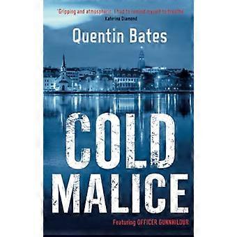 Kalte Bosheit (Gunnhildur Mystery)