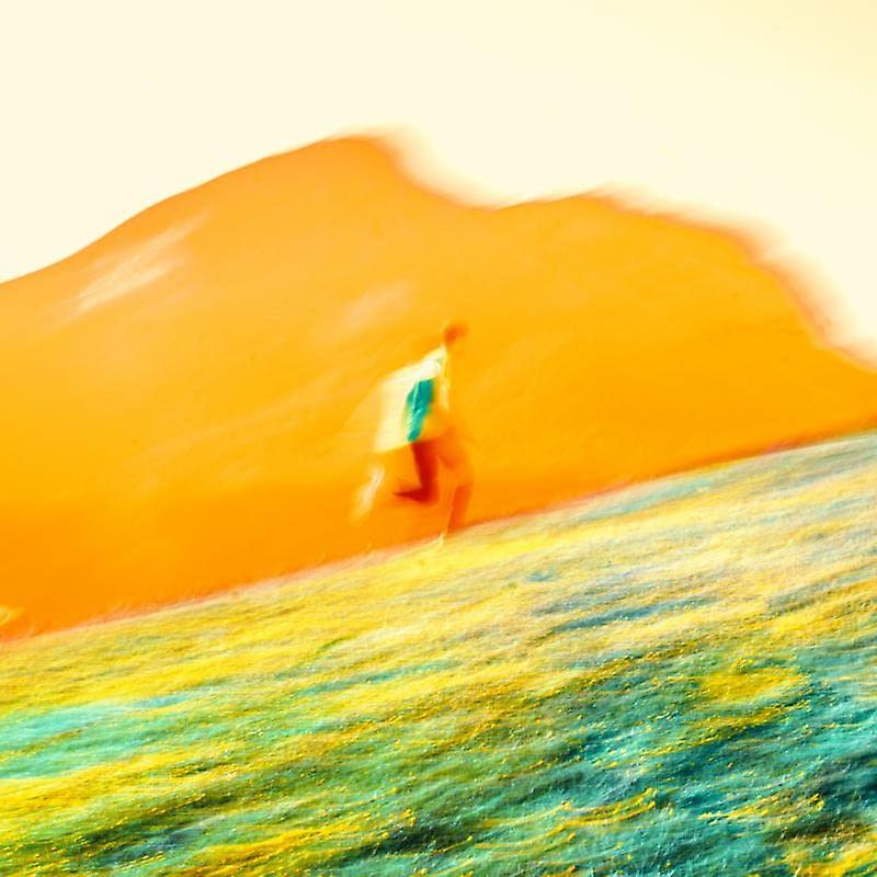 Manu Dia - Often Inside [VINYL] (マヌ ・ ディア ・ - しばしば内部 [ビニール])