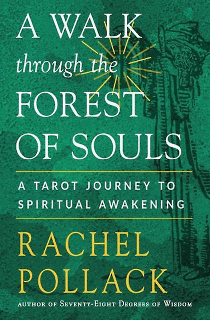 A Walk Through The Forest Of Souls by Rachel Pollack Paperback Book
