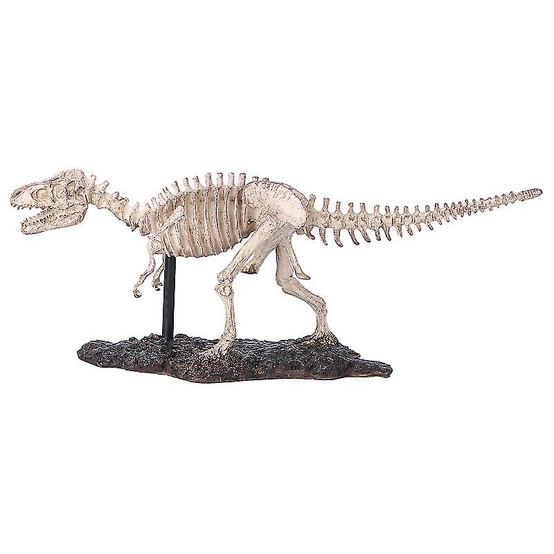 1pcs Squelette de dinosaure
