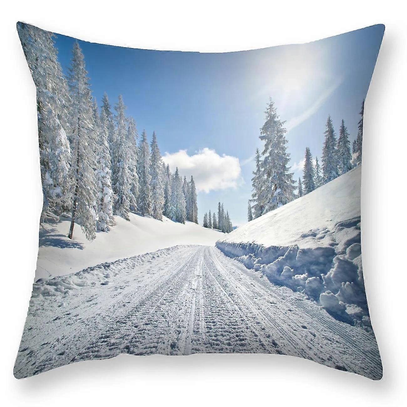 Print Pillowcase Sofa Cushion Cover Design Style -1129
