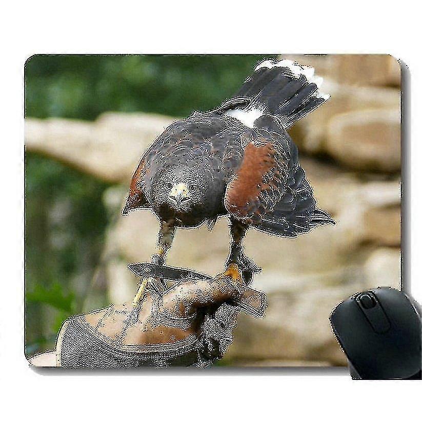 (260x210x3) Mouse Pads Customized,Predation Bird Non-Slip Rubber Base Mousepad