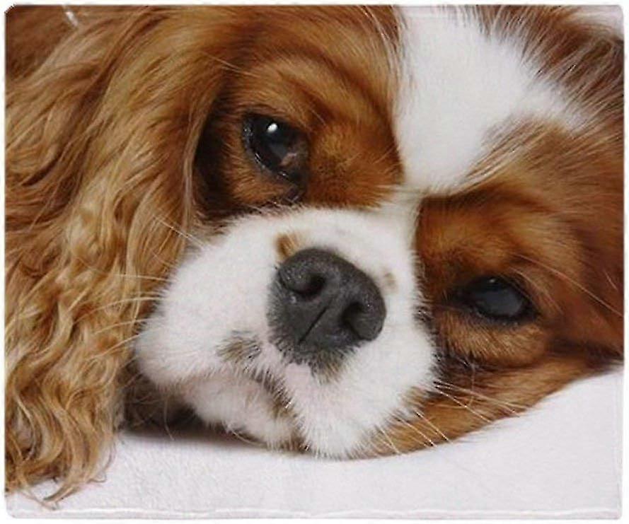 Weiche Fleecedecke Cavalier King Charles Spaniel, Überwurfdecke für Sofa oder Bett geeignet